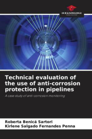 Technical evaluation of the use of anti-corrosion protection in pipelines