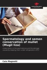 Spermatology and semen conservation of mullet (Mugil liza)