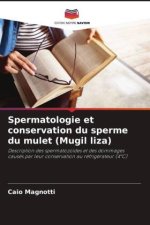 Spermatologie et conservation du sperme du mulet (Mugil liza)