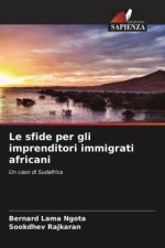 Le sfide per gli imprenditori immigrati africani