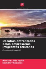 Desafios enfrentados pelos empresários imigrantes africanos