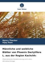 Männliche und weibliche Blätter von Phoenix Dactylifera L. aus der Region Kachchh: