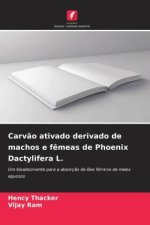 Carv?o ativado derivado de machos e f?meas de Phoenix Dactylifera L.