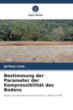 Bestimmung der Parameter der Kompressibilität des Bodens