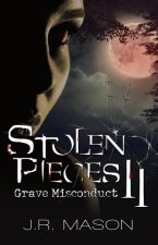 Stolen Pieces II