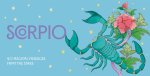 SCORPIO PKT ZODIAC CARDS