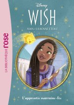 Wish, Asha et la bonne étoile 06