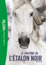 L'Etalon noir NED 16