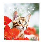 Kočky 2025 - nástěnný kalendář