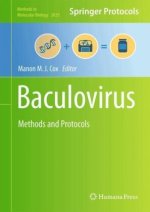 Baculovirus