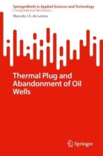 Thermal Plug and Abandonment of Oil Wells