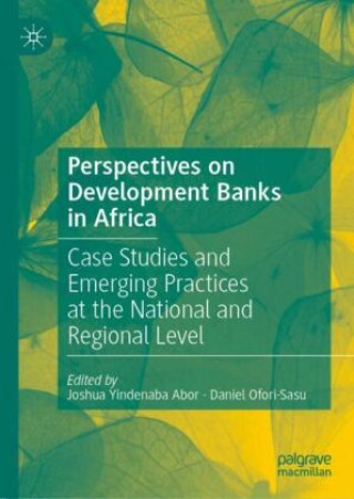 Perspectives on Development Banks in Africa