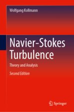 Navier-Stokes Turbulence