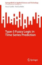 Type-3 Fuzzy Logic in Time Series Prediction