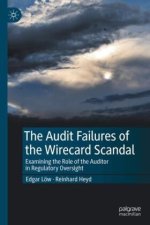 The Role of the Auditor