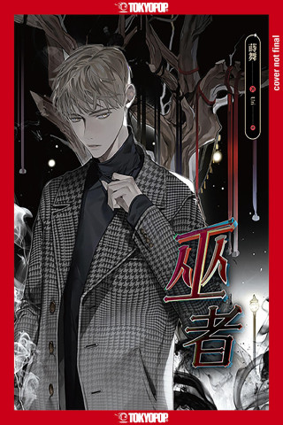 The Wizard (Light Novel)