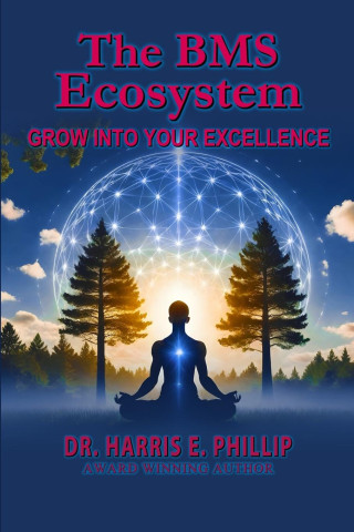 The BMS Ecosystem