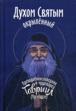 Духом Святым окрыленный. Преподобноисповедник Гавриил (Ургебадзе)