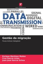 Gest?o da migraç?o