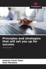 Principles and strategies that will set you up for success