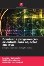 Dominar a programaç?o orientada para objectos em Java