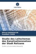 Studie des Leitschemas des Kanalisationsnetzes der Stadt Relizane
