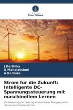 Strom für die Zukunft: Intelligente DC-Spannungssteuerung mit maschinellem Lernen