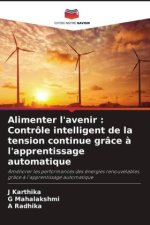 Alimenter l'avenir : Contrôle intelligent de la tension continue grâce ? l'apprentissage automatique