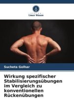 Wirkung spezifischer Stabilisierungsübungen im Vergleich zu konventionellen Rückenübungen