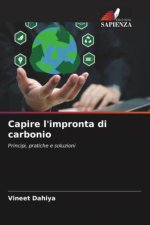Capire l'impronta di carbonio