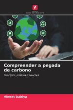 Compreender a pegada de carbono