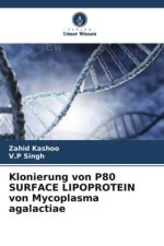 Klonierung von P80 SURFACE LIPOPROTEIN von Mycoplasma agalactiae