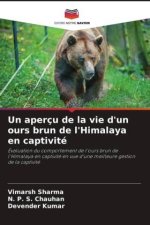 Un aperçu de la vie d'un ours brun de l'Himalaya en captivité