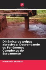 Dinâmica de polpas abrasivas: Desvendando os Fenómenos Complexos do Escoamento