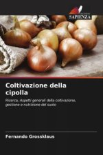 Coltivazione della cipolla