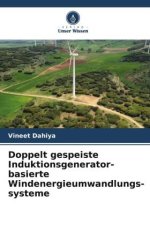 Doppelt gespeiste Induktionsgenerator-basierte Windenergieumwandlungs-systeme