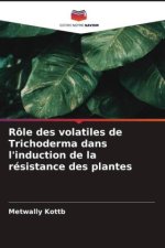 Rôle des volatiles de Trichoderma dans l'induction de la résistance des plantes