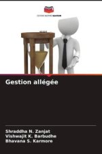 Gestion allégée