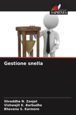 Gestione snella