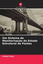 Um Sistema de Monitorizaç?o do Estado Estrutural de Pontes