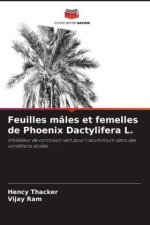 Feuilles mâles et femelles de Phoenix Dactylifera L.