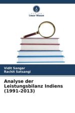 Analyse der Leistungsbilanz Indiens (1991-2013)