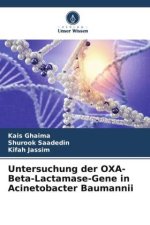 Untersuchung der OXA-Beta-Lactamase-Gene in Acinetobacter Baumannii