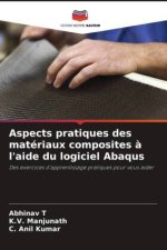 Aspects pratiques des matériaux composites ? l'aide du logiciel Abaqus