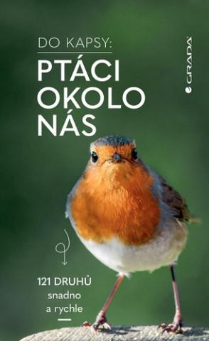 Do kapsy Ptáci okolo nás