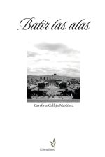 BATIR LAS ALAS