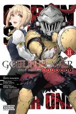 GOBLIN SLAYER SIDE STORY YEAR 1 V11