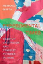 Experimental Times – Startup Capitalism and Feminist Futures in India