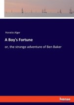 A Boy's Fortune