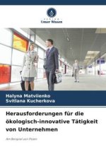 Herausforderungen für die ökologisch-innovative Tätigkeit von Unternehmen